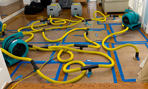 Professional Structural Drying And Dehumidification technician working in Long Beach, CA